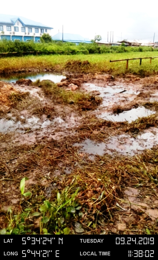 Impacted vegetation and soil.